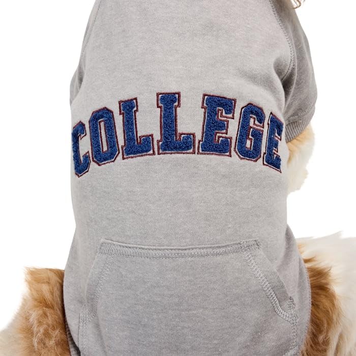 Reddy by Petco College Pet Hoodie, Grey, Large