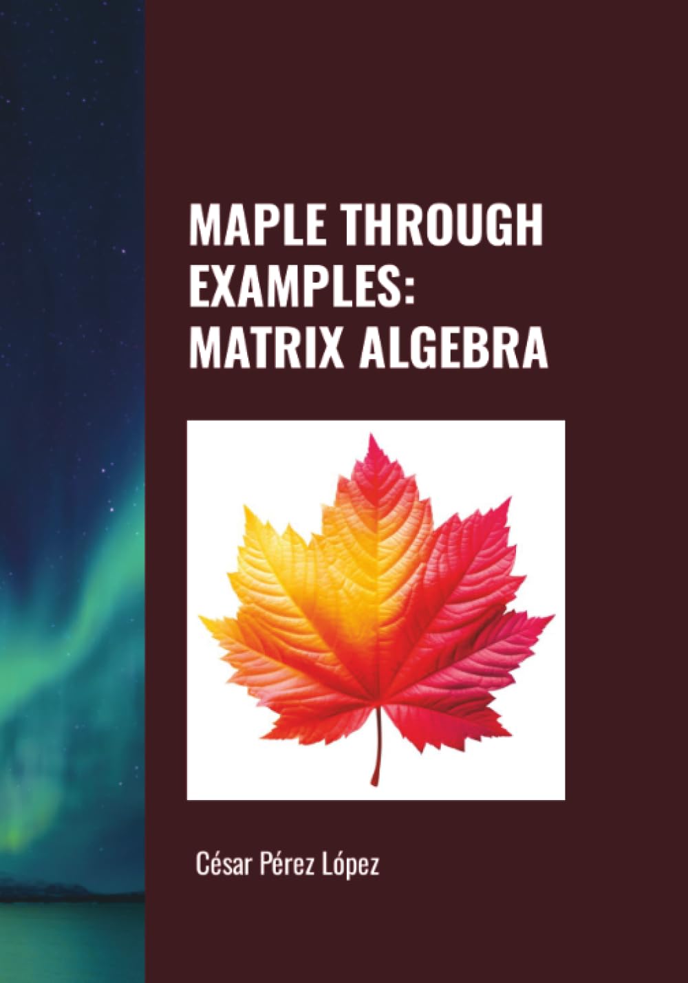 MAPLE THROUGH EXAMPLES: MATRIX ALGEBRA