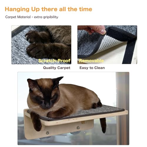 Lit pour chat robuste sans perçage avec ventouse et tapis griffoir - 7