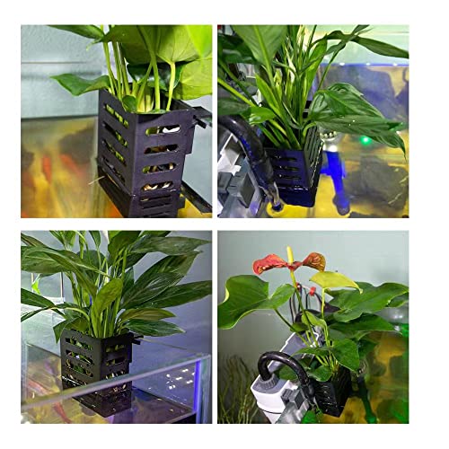 Halifin 2Pcs Aquatic Plant Cup, Plastic Aquatic Plant Pot Three Different Sizes Of Holder, Aquarium Plant Holder For Emersed Plants, Suitable For Borders Aquariums Without (Black) #TOP2