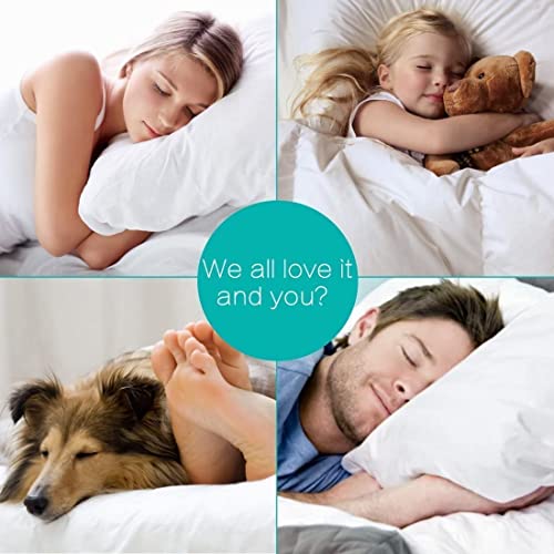 Image of Mattress Protector Waterproof Mattress Cover Soft Breathable Drop for 6-12 inch Pad Size - 42 inchX42 inch