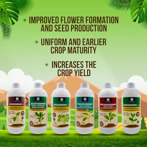 Image of OrganicDews Azospirillum, Azotobacter, Rhizobium, PSB, KMB, Zinc Solublizing Bacteria 1 Litre Bio Fertilizer Combo - Increases Soil Fertility, Plant Growth & Yield