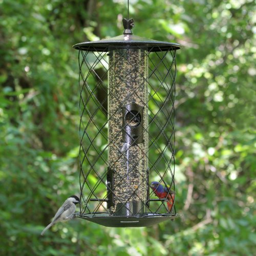 Perky-Pet The Preserve Wild Bird Feeder - 3 lb Seed Capacity - Keep Squirrels Out - Perky Pet 785 - Feed Wild Birds Outdoors - Durable Construction