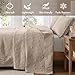 Madison Park Quebec Reversible Quilt Set Damask Design, Double Sided Stitching All Season, Lightweight Bedspread Bedding Set, Matching Sham, Khaki, King(120