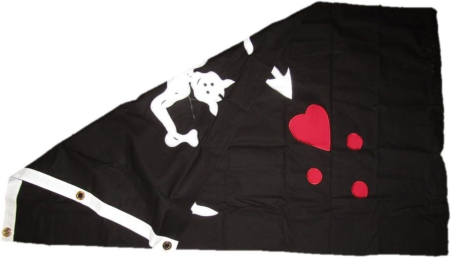 AES 3x5 Embroidered Sewn Jolly Roger Pirate Black Beard Cotton Flag 3'x5' (100% Cotton)