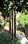 Stanwood Wind Sculpture - Brass and Copper Wind Chime