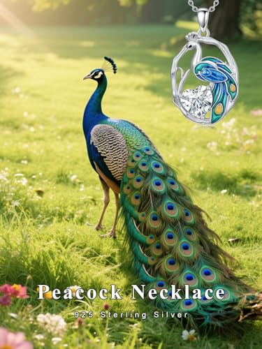 Midari Bird Necklaces for Women 925 Sterling Silver Blue Jay/Hummingbird/Owl/Peacock/Cardinal Pendant Necklace Oval Cubic Zirconia Necklace Bird Jewelry Charm Memorial Christmas Gifts for Women Mom 5