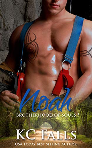 Noah (Brotherhood of Souls Book 5)