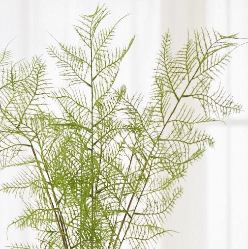 Factory Direct Craft Group of 3 Artificial Asparagus Fern Sprays for Summer Arrangements and Displays - 28