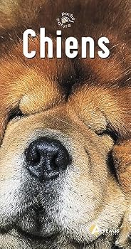 Paperback Chiens [French] Book