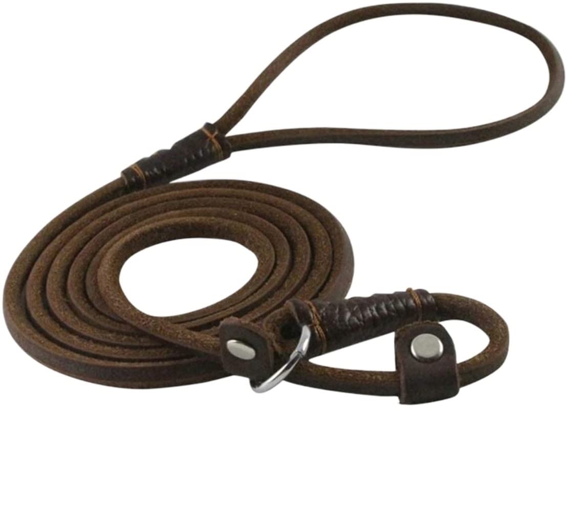 Correa Perro Correr Correa de Cadena para Perro, Collar Deslizante para Mascotas, Correas para Caminar, Cuerda Cuero Genuino para Perros, tracción para Cachorros Antideslizantes Reforzada