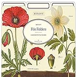 Cavallini Papers & Co. Botany Heavyweight File Folders (Set of 12)