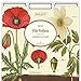 Cavallini Papers & Co Botany Heavyweight File Folders (Set of 12)