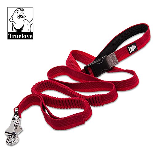 TRUE LOVE Longue Laisse de Chien élastique (Rouge, L)