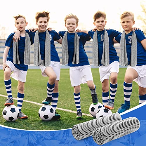 30 Pcs Cooling Towels 40" X 12" Ice Towel Breathable Soft Chilly Sweat Towel Workout Towels For Gym Cooling Towels For Neck And Face For Yoga Golf Sports Running Camping (Light Gray) #TOP4