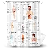 AO BLARE Human Anatomy Shower Curtain Complete Chart of Different Human Organ System Polyester Fabric Shower Curtain 72X72 Inches