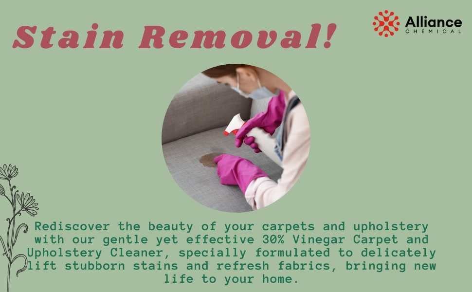 Miniatura 5 de Vinagre al 30% - Caja de 4 galones - Fuerza industrial concentrada