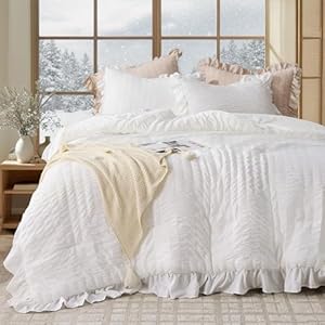 JOLLYVOGUE Queen Comforter Set, 3 P...
