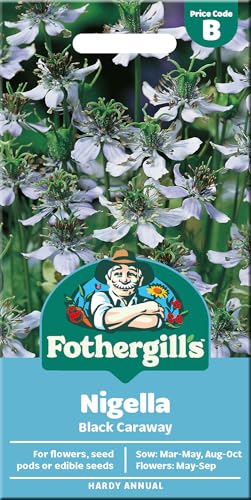 Grow Your Own Nigella Black CARAWAY Seeds For Use In Savoury