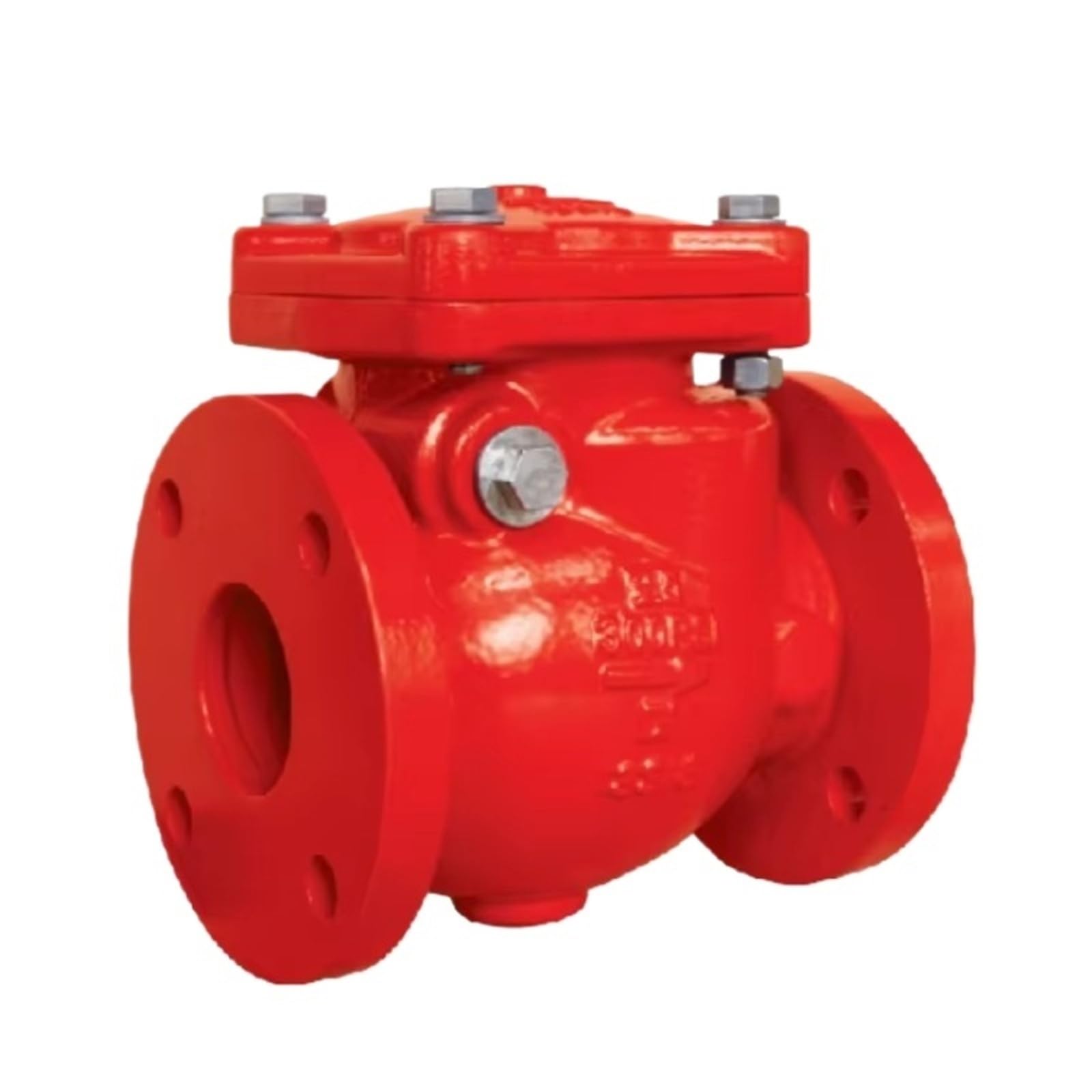 Trgyjgkf One Color Swing Check Valve