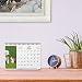 Finocam - Calendario de sobremesa 2021 Escribir Imágenes Perros y gatos Español