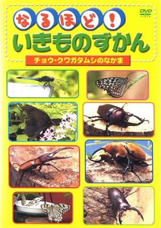 Amazon Co Jp なるほど いきものずかん チョウ クワガタムシのなかま レンタル落ち Dvd ブルーレイ