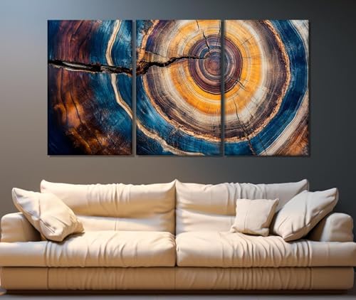 Impression sur toile anneaux d'arbre colorés déco murale grand format 70x90 cm