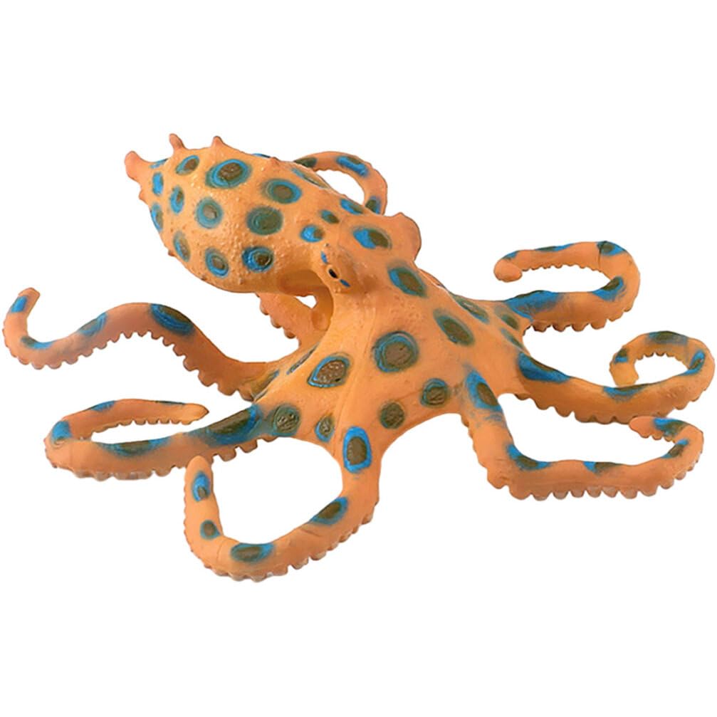Amazon.com: SAFIGLE Simulation Octopus Model - Educational Plastic