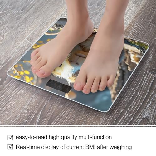 Báscula Digital de Baño FekiLoot con Plataforma Antideslizante miniatura 5