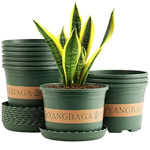 Yangbaga Ronde plastic plantenpotten met lade 16cm, plantenpotten voor binnen en buiten, groot tuincadeau (10er-set) …