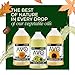 AVO NON GMO 100% Avocado Oil, 64 Fl-oz, NO Preservatives Added