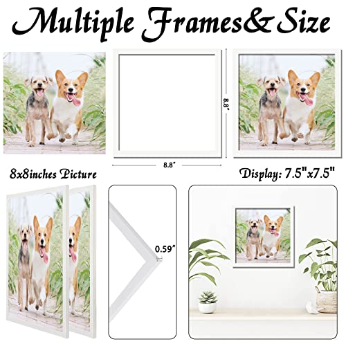 Icariery White 8X8 Picture Frame Set Of 2, High Transparent Picture Frames For 8 X 8 Suqre Photo Canvas Collage Poster Certificate Wall Gallery Horizontal Vertical 8 By 8 #TOP2