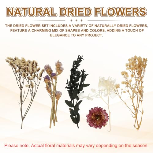 Set de 2 juegos de flores secas naturales beige miniatura 3