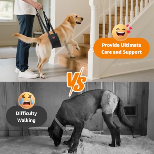 Image of LOOBANI Dog Sling for Extra Large Dogs Hind Leg Support Weak Rear Leg Aid
