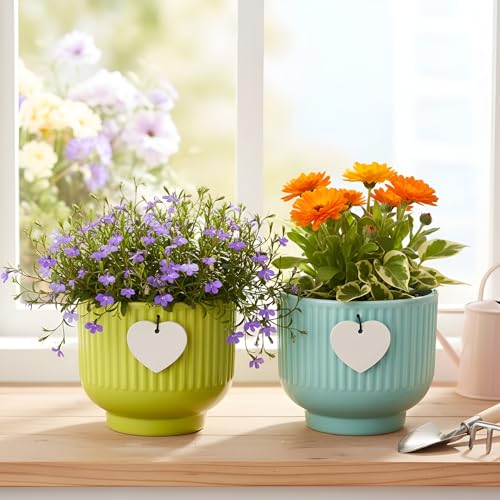 Image of Xtore Vibrant Ribbed Ceramic Planter Set for Indoor Plants | Modern Decorative Flower Pots for Desk, Shelf & Home Styling (Pack of 2, Planter only)