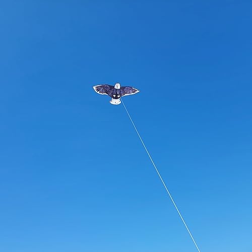 Miniatura 6 de Kites for Kids & Adults, Beach Kites, Easy for Fly for Toddlers Ages 3-5 with 300ft Kite String Each Handle