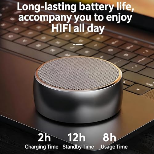Enceinte Bluetooth portable métallique avec son surround HiFi de précision