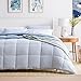 LINENSPA All Season Hypoallergenic Down Alternative Microfiber Comforter, King, Light Blue/White