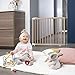 Badabulle Deco Pop, ausziehbares Babygitter aus Holz | 63 bis 106 cm breit | Druck- oder Schraubgitter für Babytüren und Treppengitter