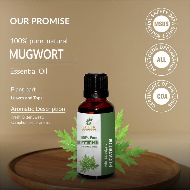 Mugwort Oil 15 ML (0.51 Fl.OZ) | 100% Pure Natural Undiluted Uncut Therapeutic Grade Artemisia Vulgaris Essential Oil - Image 3