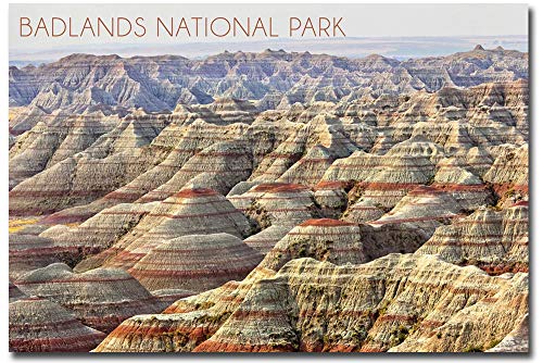 Imán de nevera Badlands National Park 2.5 x 3.5 pulgadas