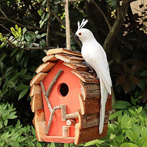 Hapivida Simulazione Realistica Modello di