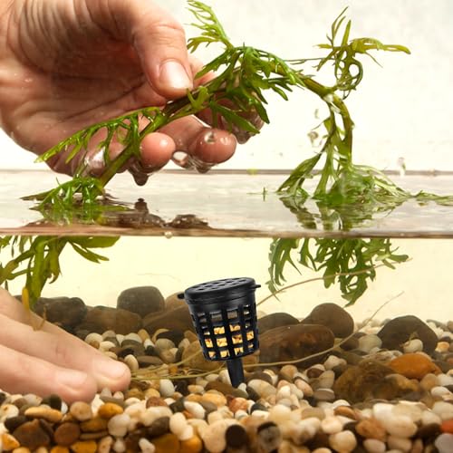 Contenedor portátil para fertilizante con tapa GANAZONO miniatura 5