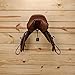 EASY-UP Collapsible Wooden Wall Mounted Saddle Rack | Convenient Collapsible Design | Fits English & Dressage Saddles | Exquisite Wood & Metal Blend | Color Medium Brown