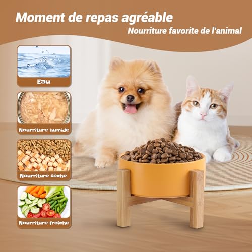 Gamelle jaune en céramique pour chat et chien avec son support en bois stable 400 ml - 5