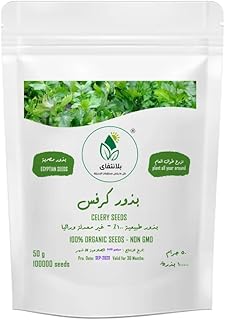 Egyptian Organic Celery Seeds, 50g Pack, 100000 Seeds, Non-GMO