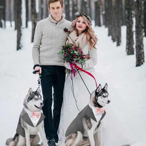 Kuoser Hund Smoking Anzug & Bandana Set, Haustier Fomal Kleidung Hunde Mantel mit Abnehmbarer Fliege, Hundeanzug Welpe Kostüm Shirt für Hochzeit Halloween Geburtstag Party, S-XXL