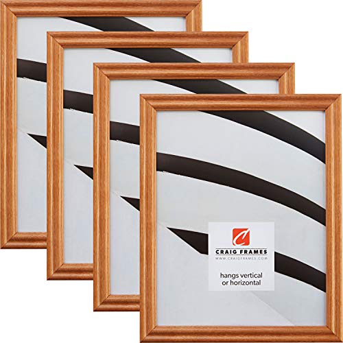 Craig Frames 200ASH105 8.5 x 11�C���` �t�H�g�t���[�� �i�`�������u���E�� 4�Z�b�g