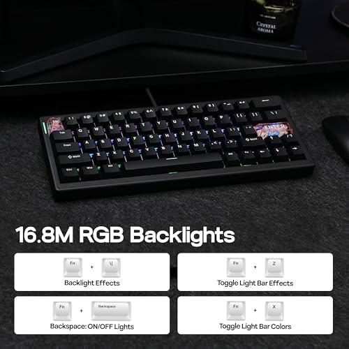 Image of MechLands CIDOO C60 HE Wired Rapid Fast Gaming Keyboard with Silent Magnetic Switch, Hall Effect Keyboard with 8K Polling Rate, 0.125ms Latency, 63-Key Compact Layout, Hot-Swappable (Black)