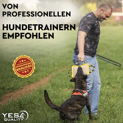 Hundebisskissen 25 x 18 cm mit 3 Nylongriffen, Kauspielzeug für Hunde für Sport und Training, Zerrspielzeug für interaktives Spielen von Yes4Quality